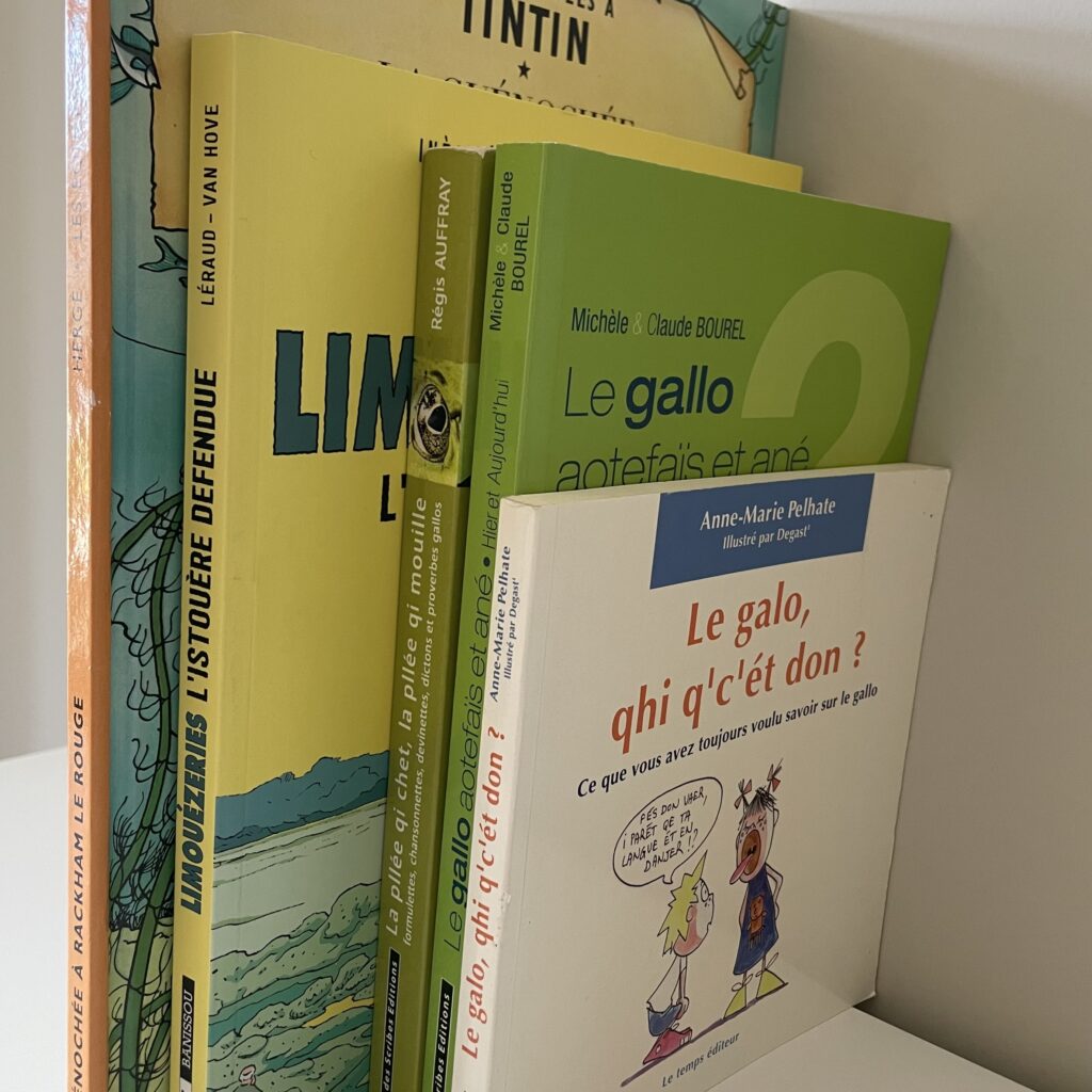 Fonds documentaire en gallo
